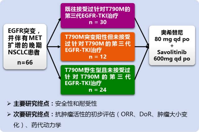 新澳門最新開獎(jiǎng)結(jié)果今天,深入執(zhí)行方案設(shè)計(jì)_挑戰(zhàn)版14.603