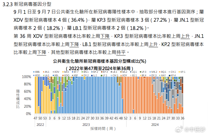 2024年11月23日 第54頁