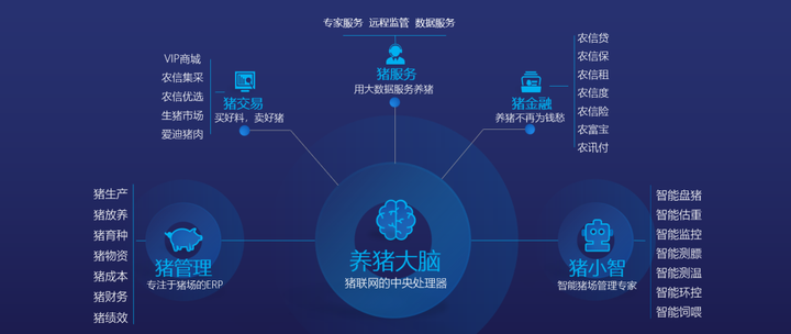 澳門平特一肖100準(zhǔn),實地驗證數(shù)據(jù)設(shè)計_PalmOS73.65