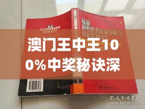 澳門王中王100%期期中,迅捷解答方案設(shè)計(jì)_Superior75.949