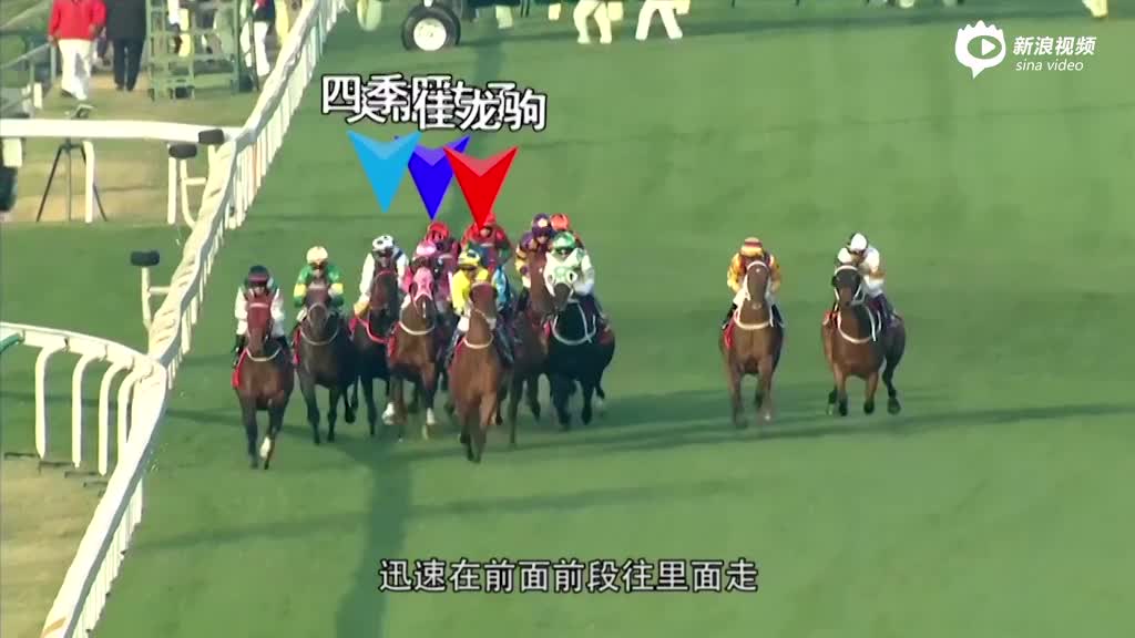 2024香港今期開獎號碼馬會,快速響應(yīng)執(zhí)行策略_WP版82.28