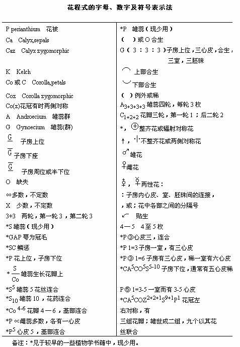 2o24新澳最準最快資料,綜合研究解釋定義_尊貴款70.874