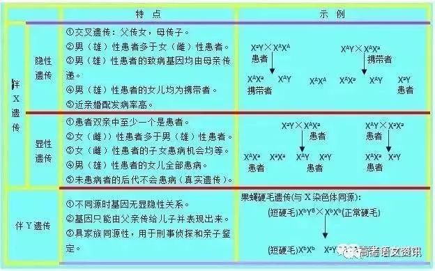 新澳門精準四肖期期中特公開｜實用技巧與詳細解析