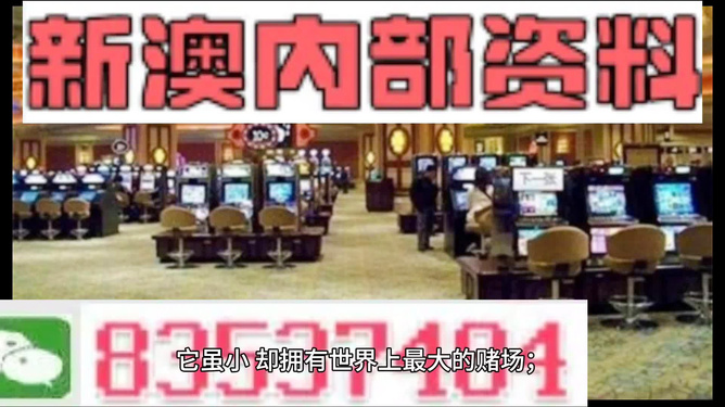 2024新澳精準資料免費提供網站｜最新正品含義落實