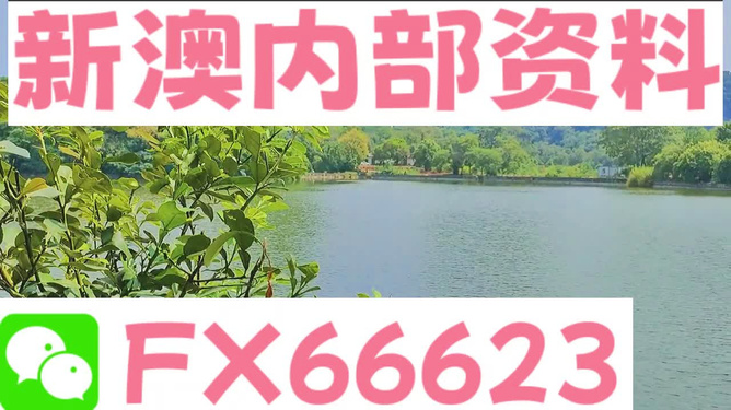 新澳精準資料免費提供265期｜高速應對邏輯