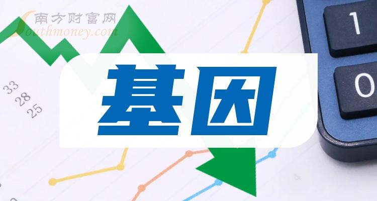 東富龍引領(lǐng)行業(yè)變革，塑造未來格局的新動態(tài)