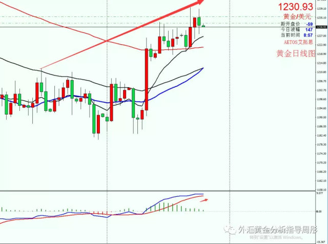 外匯黃金走勢最新解讀，三金因素深度剖析與趨勢展望